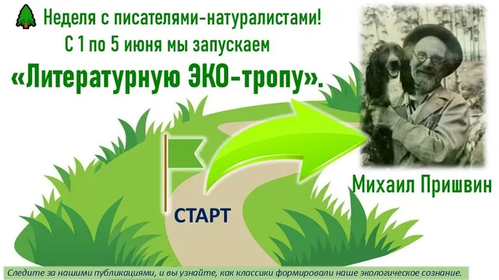 Литературная Эко-тропа